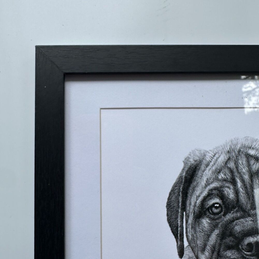 Vintage Bullmastiff Puppy Hand Signed Print Framed Roger Pidney Davidson Art - Picture 3 of 10